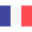 French Flag